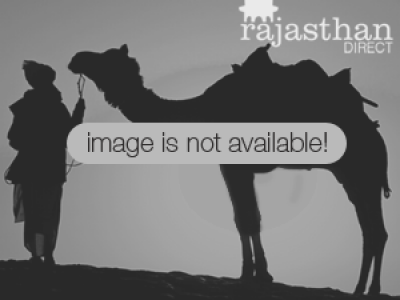 Professor Jobs In Rajasthan